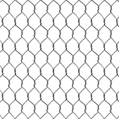 China Strong Hexagonal Wire Mesh Dog Fence Wire Mesh Hexagonal Mesh For Chicken Cage for sale