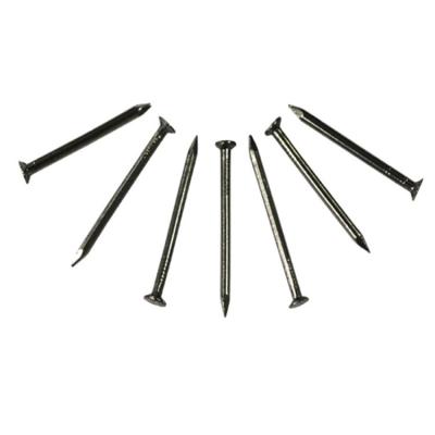 China Hot Sale Flat Concrete Steel Nail 1