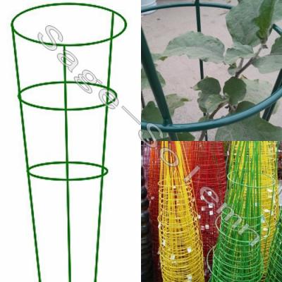 China Home& Garden Green Colored Tomato Cage , Powder Coating Colored Tomato Cage Support for sale