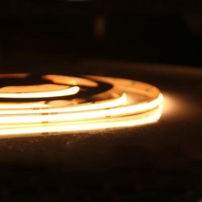 China Hotel Waterproof High Lumens Ip65 Cob Led Strip 3V 5V 12V 24V 5050 2835 Led Strip For Decoration for sale