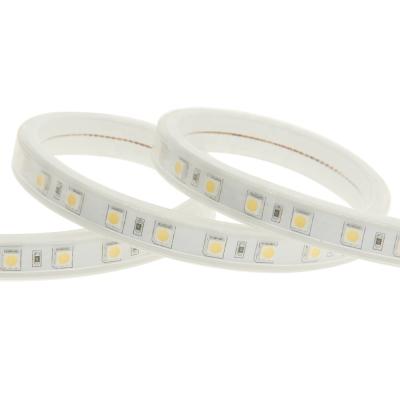 China LANDSCAPE High Voltage Round Led Strip Light 230v 220 Volt for sale