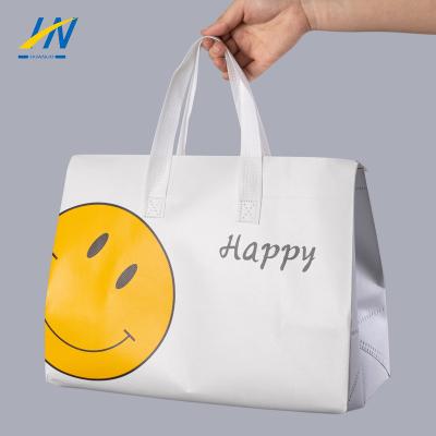 China Wholesale Waterproof Lunch Picnic Cooler Bag Handles Non Woven Aluminum Foil Insulated Bags For Drinks for sale