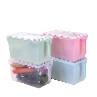 China Freshness Preservation Large Capacity Food Storage Container Fruit Plastic Vegetable Crisper Hot Selling Eco-friendly Vegetable Box for sale