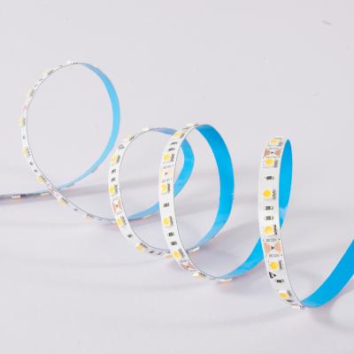 China High Quality Flexible Decoration RGB Strip Light 5050 Color Strip Light High Brightness Led RGB 5050 Strip Light for sale