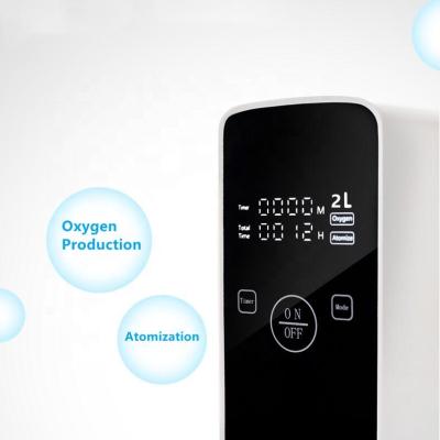 China Class II Oxygen Concentrator 1l 2l Portable Home Oxygen Unit Nebulizer SK9000 Concentrador de Oxigeno 2 Litros China for sale