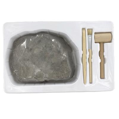 China Custom Rock and Fossil Kit Educational Toys Adventure Excavation Tool Box Earth Science Kit YJ-DIY-20491 for sale