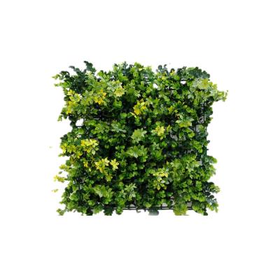 China Modern Artificial Boxwood 4x8 Hedges for sale