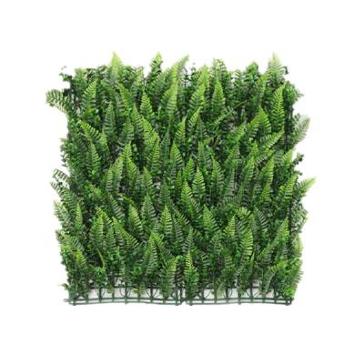 China Background from a single piece of modern artificial boxwood for sale