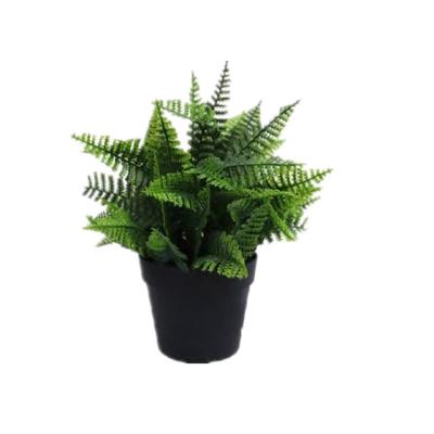 China Modern Wholesale Decoration Artificial Succulent Plants Different Sizes In Pots for sale