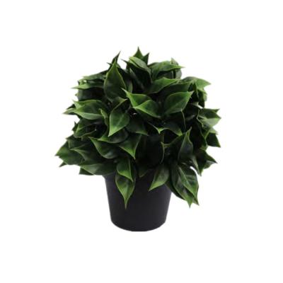 China Mini Modern Potted Artificial Succulent Plants In Stock for sale