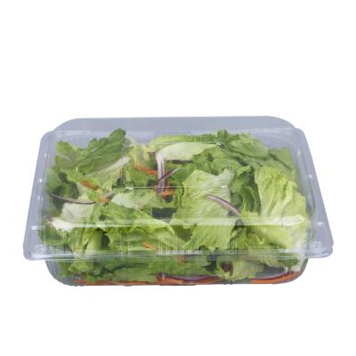 China Clear Plastic Clamshell Food Blister Packing Supermarket Clear Food Blister Packing Tray Salad Box Fruit Vegetable for sale