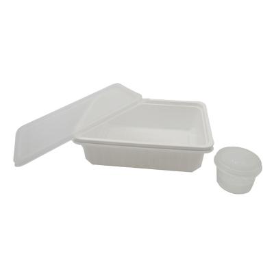 China Eco-friendly Disposable PP Fast Food Blister Packing Plastic Take Out Container for sale