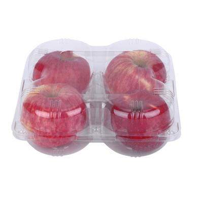 China Factory Wholesale Disposable Pet Fresh Fruit Packing Box With Transparent Clamshell for sale