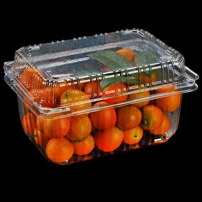 China Disposable Blister Clamshell Fruit Me Level Container Disposable Clear Plastic Packaging Box for sale