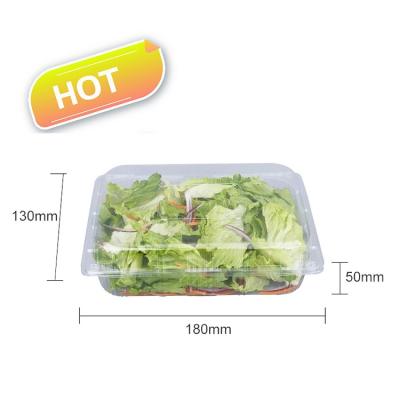 China High Quality Disposable Food Blister Packing Clear Plastic Box Clamshell Blister Fruit Packing Tray Disposable Well for sale