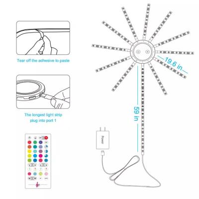 China Light RGBIC Music Atmosphere USB Fireworks LED Smart Strip Lights Sound Detection with APP Control Dreamful Color Led for Bedroom for sale