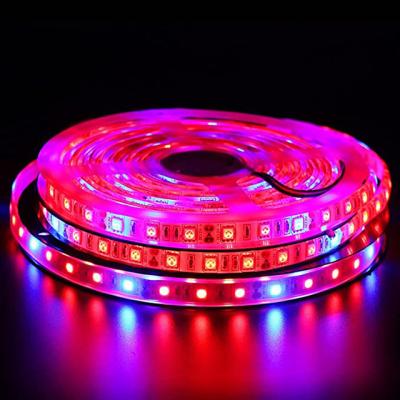 China DIY Garden 12v Led Grow Light Led Light Strips Greenhouse Waterproof Indoor Full Spectrum LED Grow Light Bar for sale