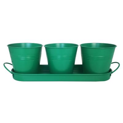 China Modern 3cups with a Tray Balcony Garden Plant Metal Iron Planter for sale