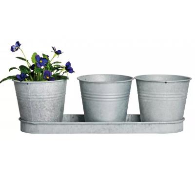 China Modern 3cups With Tray Garden Plant Metal Iron Planter Flower Pot A Pretty for sale