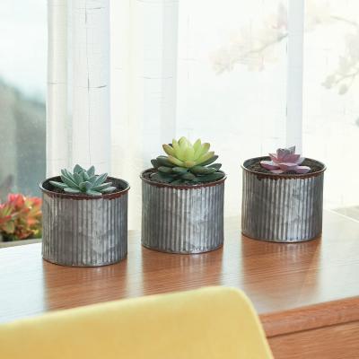 China Eco - Friendly Country Galvanized Small Corrugated Metal Pot Plant Succulent Pot for sale