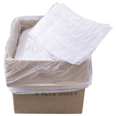 China Envases de hielo seco de plástico en paquetes pequeños Hojas de paquetes de hielo seco Reutilizables 28x39cm para la caja de almuerzo Bolsas de refrigeración en venta