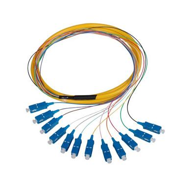 China Fiber Optic Pigtail SM LSZH G657A 0.9mm 9/125 Ftth Gcabling 12 Core Gcabling 12 sx Pigtail 1M 2M 3M Fiber Optic Pigtail Singlemode 9/125 Colors Pigtail for sale