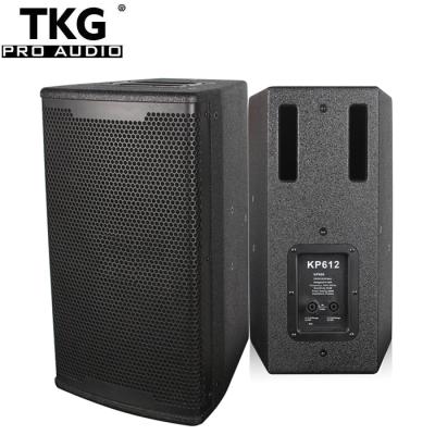 China Professional DJ Performance Karaoke Player TKG 350W Sound Stage Karaoke 12 Inch Professional Speaker for sale