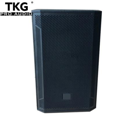 China 15 Inch Audio Sound System Professional Radio Karaoke Player TKG 450W Speaker for sale