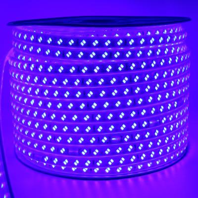 China 5730 theme park project 120leds two line rope light rgb led strip light for sale