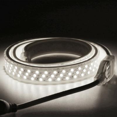 China Theme park flexible rope lights IP65 waterproof smd2835 lamp strip 180/276 lead strip lights customs for sale