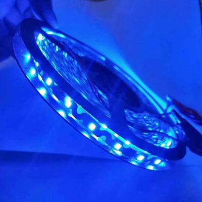 China 24V Theme Park Portboard LED Strip Light for sale