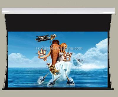 China Large Size Electric 300 Inch Electric Projector Screen For Large Outdoor Cinema for sale