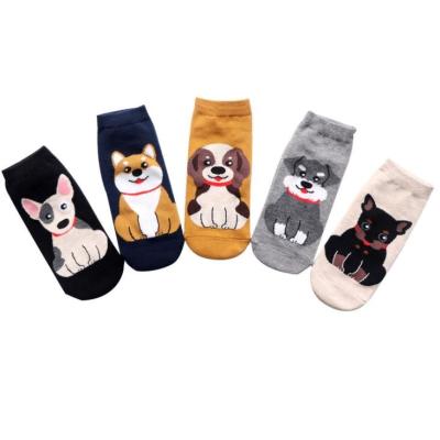 China 2021 antibacterial casual cute shorts lugs funny animal dog ladies cotton dibujos animados ankle cartoon lugs calcetas for women for sale