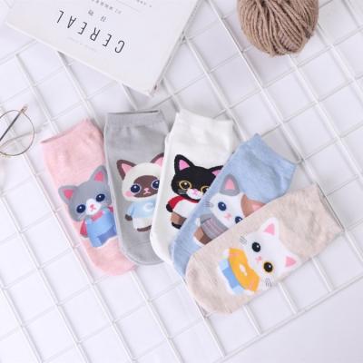 China Antibacterial Custom Socks Women Design Cute Cardboard Cat Character Pure Cotton All Seasons Funny Socks for sale