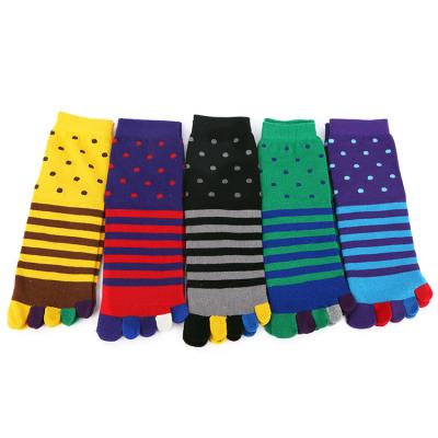 China 2021 Men Colorful Thick QUICK DRY Toe Socks Autumn Winter Rainbow Crew Anti Slip Cotton Dot Scratch Fashion Sports High Quality Wholesale for sale