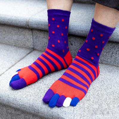 China 2021 Men's Colorful Thick QUICK DRY Five Toe Slip Socks Autumn Winter Rainbow Crew Anti Scratch Stitch Cotton Fashion High Sports Wholesale for sale