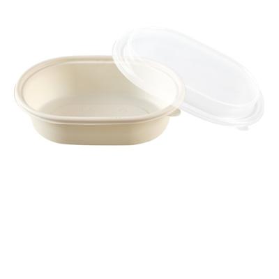 China Rectangle Container Biodegradable Cornstarch Food Bowl for sale