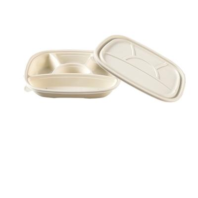 China Biodegradable Disposable Meal Tray Biodegradable Lunch Box For Food Containers Quickly Take Away Cornstarch Container for sale