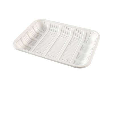 China Biodegradable Factory Directly Sell Reneable Rectangle Disposable Dinner Packaging Resouce PSM White Dish for sale