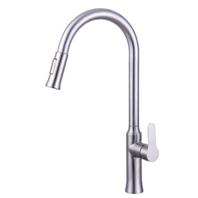 China Modern Professional Multifunctional Stainless Steel Kitchen Faucet 304 Water Slide Faucet for sale