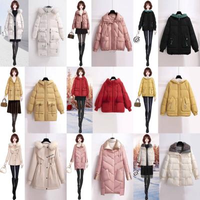 China Factory Customized Winter Women's Down Hooded Zippered Jacket Waterproof Women's Outerwear Spot for sale