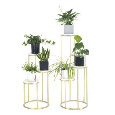 China Sustainable Multilayer Indoor Potted Succulent Plant Display Stand for sale