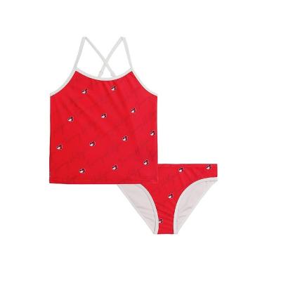 China 2022 Summer New Hot Spring Swimsuit Girls Plus Size Two Piece Swimsuit FREE SAMPLE Quick Drying Suit for sale