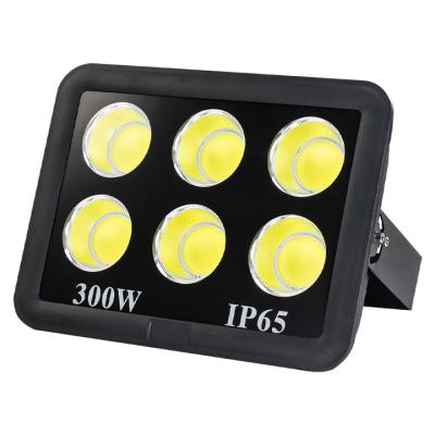 China High quality 100W waterproof IP66 theme park factory price led flood light for sale