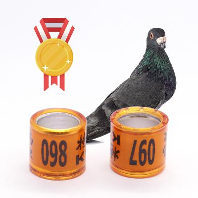 China Viable Pet Bird Rings 8mm Birds Rings Aluminum Pigeon 10mm Leg Bands Outdoor Flying Training Id Foot Rings for sale