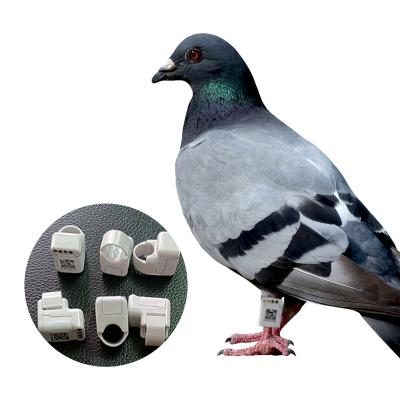 China GESHIFENG Viable Hot Selling GPS Real Time Positioning Pigeon Tracking Ring For Pigeon Training Racing for sale