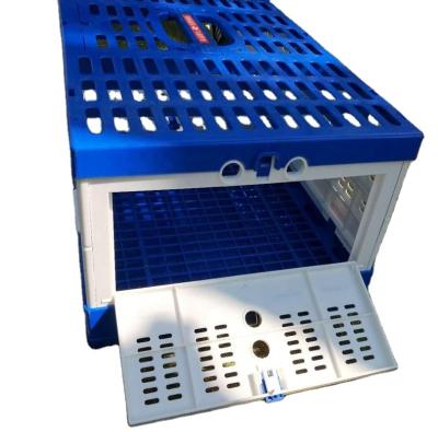 China Anti - Corrosion Blue Foldable Plastic Plastic Pigeon Cage Sustainably Anti - Drop for sale