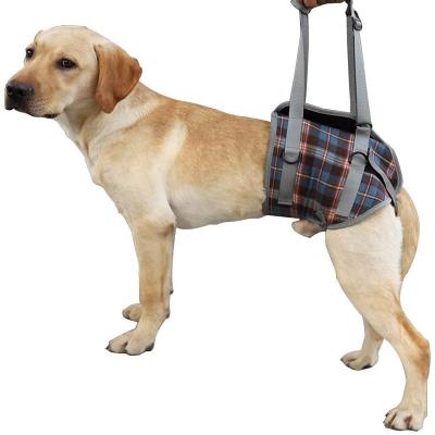 China Manufacturer Padded Adjustable Rehab Lifting Back Auxiliary Straps Leg Lift Support Dog Harness for sale