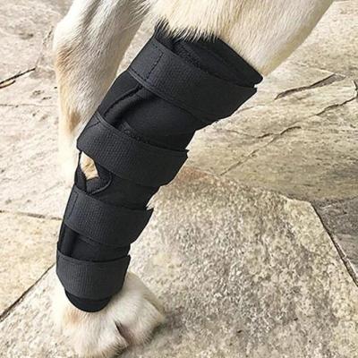 China Hot Selling Back Neoprene Breathable Elastic Adjustable Hind Hock Wraps Canine Dog Leg Braces High Quality for sale