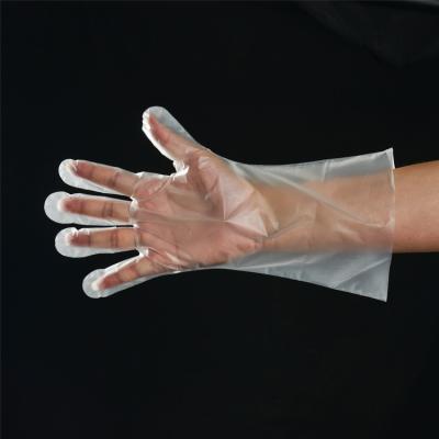 China Comfortable Cheap Ultra Thin Disposable Tape CPE Eco - Friendly Gloves for sale